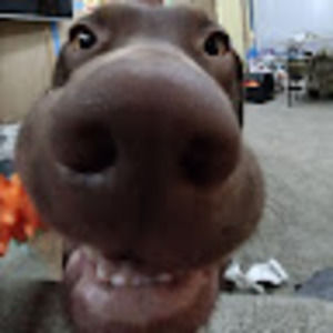 Meet your Posher, Mitchell